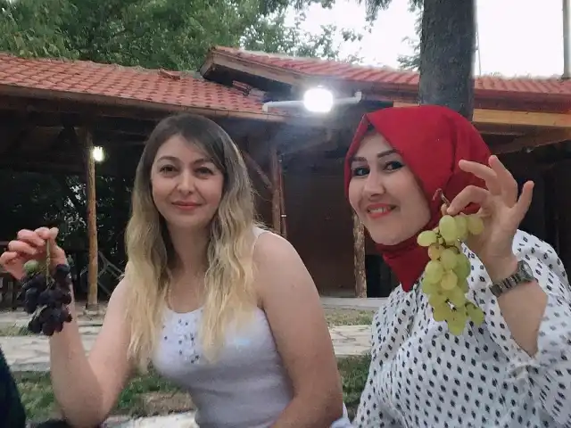Cırcırların Konağı'nin yemek ve ambiyans fotoğrafları 10