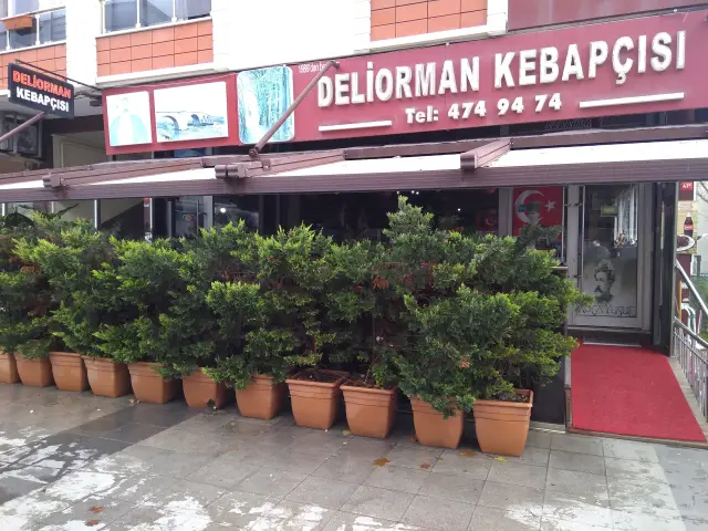 Meşhur Deliorman Kebapçısı'nin yemek ve ambiyans fotoğrafları 3