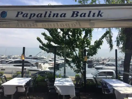 Papalina Balik Restaurant'nin yemek ve ambiyans fotoğrafları 37