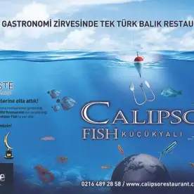 Calipso Fish
