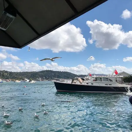 Bebek Balıkçı'nin yemek ve ambiyans fotoğrafları 59