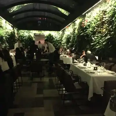 Nopa Restaurant'nin yemek ve ambiyans fotoğrafları 1