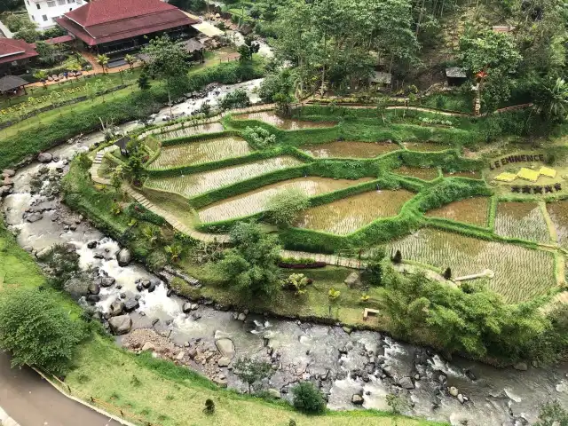 Gambar Makanan Bebek Tepi Sawah Cilloto Sahid Eminence 3