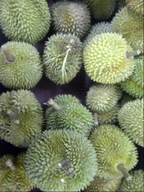 Gambar Makanan Raja Durian 5