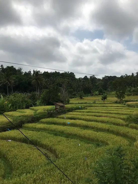 Gambar Makanan Puri Sawah Restaurant 17