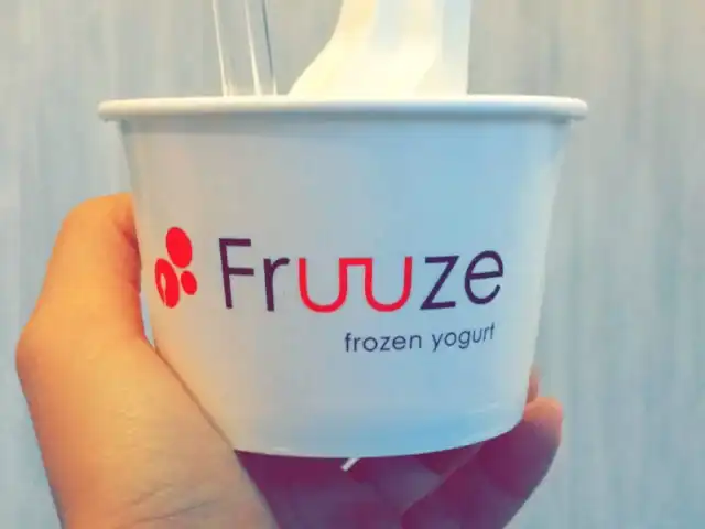 Fruuze Frozen Yogurt Food Photo 9