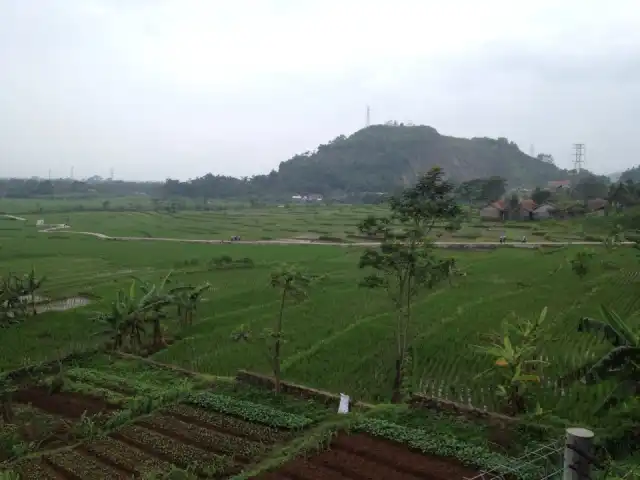 Gambar Makanan Saung Lalakon 2