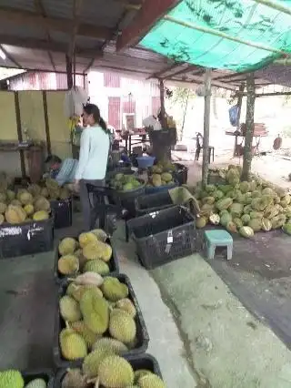 Durian Stall Food Photo 2