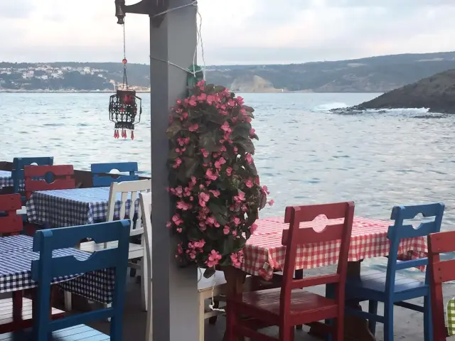 Reis Balık Kahvaltı Cafe'nin yemek ve ambiyans fotoğrafları 4