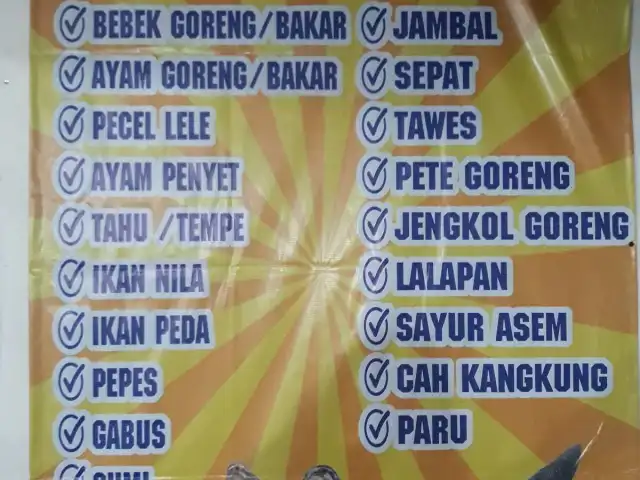 Gambar Makanan Sambel Setan Spesial Penyet Pakansari 9