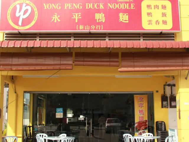 Yong Peng Duck Noodles
