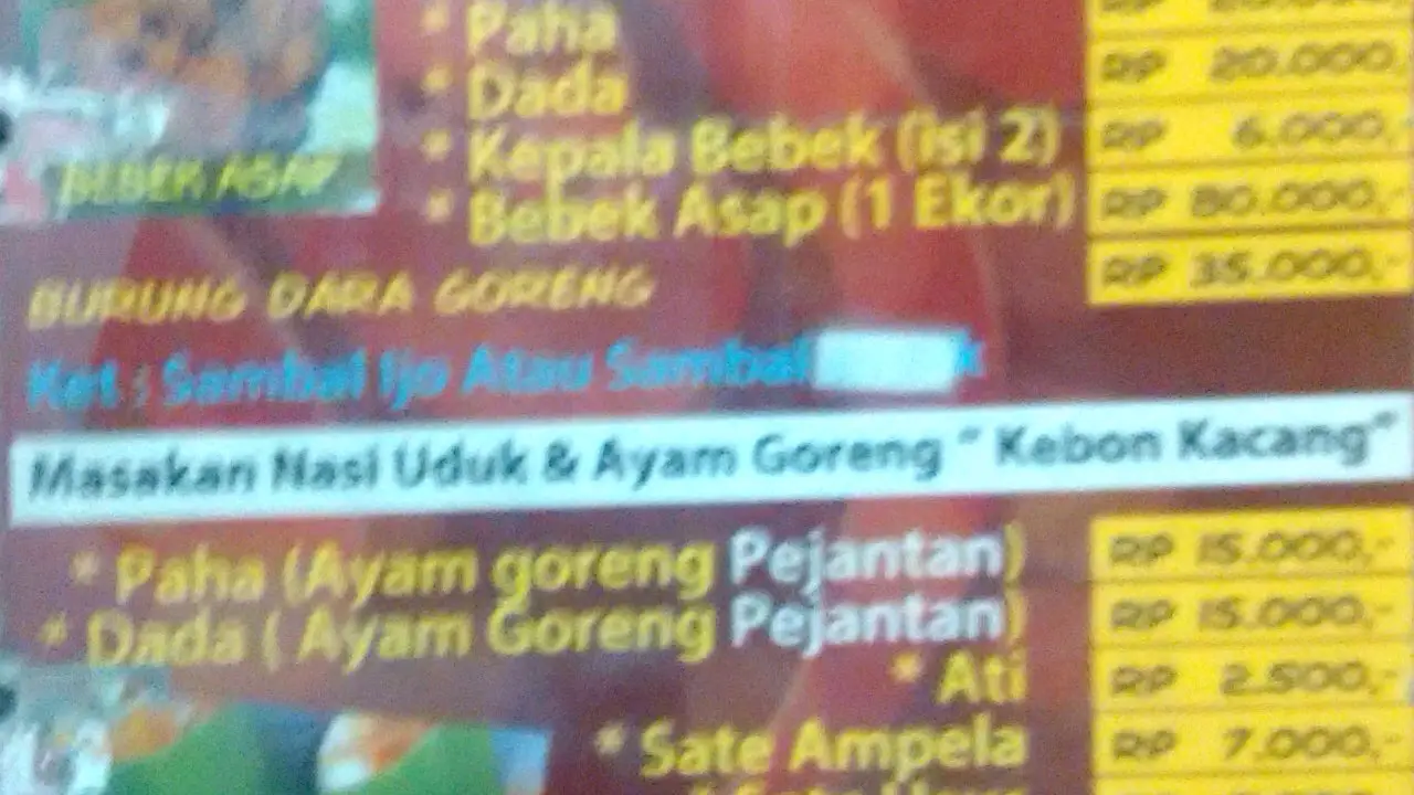 Bebek Goreng Sambel Ijo