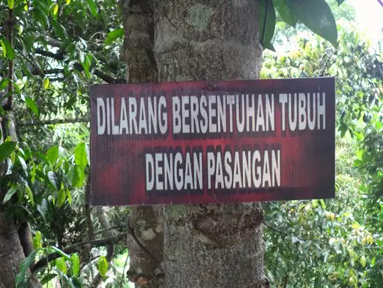 Gambar Makanan Temega Tree House Restaurant 8