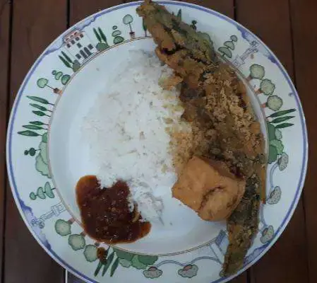 Gambar Makanan Pecel Lele Lela 20