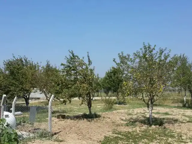 Aksarayli Bayramin Yeri'nin yemek ve ambiyans fotoğrafları 1