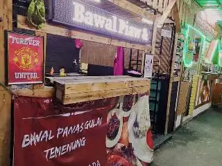 Bawal Panas Ikan Temenung