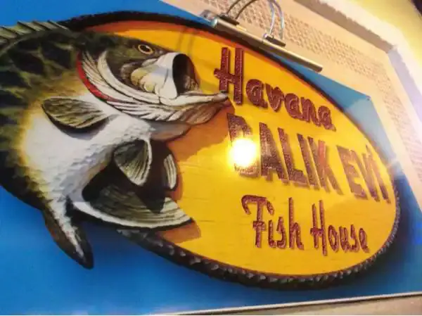 Havana Balık Evi'nin yemek ve ambiyans fotoğrafları 12