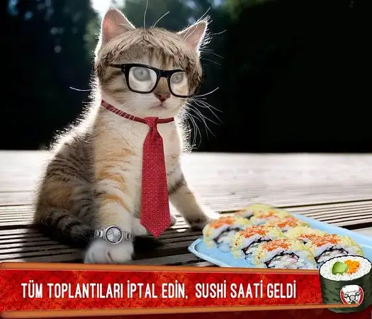 Chinese & Sushi Express'nin yemek ve ambiyans fotoğrafları 10