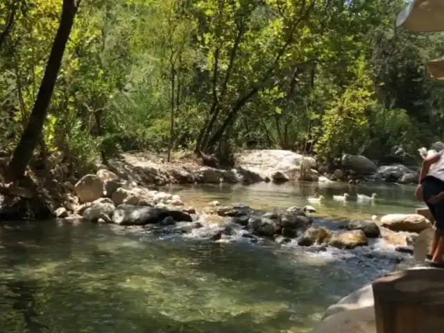 Değirmen Dere Restaurant Ve Köy Kahvaltısı'nin yemek ve ambiyans fotoğrafları 3