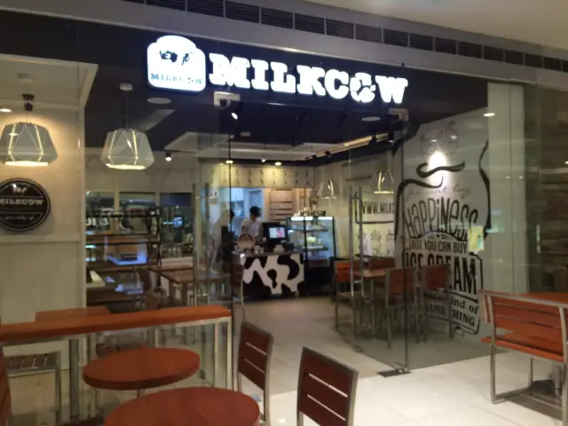 Milk Cow Food Photo 2