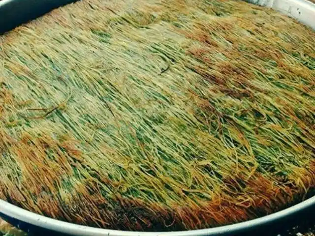 Belkıs Baklava'nin yemek ve ambiyans fotoğrafları 33