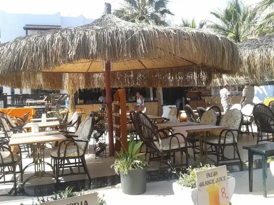 Bitez Han beach bar and resteraunt'nin yemek ve ambiyans fotoğrafları 10
