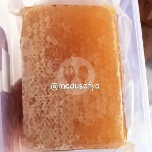 Gambar Makanan Madu Sofya 4