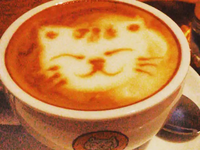 Coffee Cottage Cat Cafe Food Photo 5