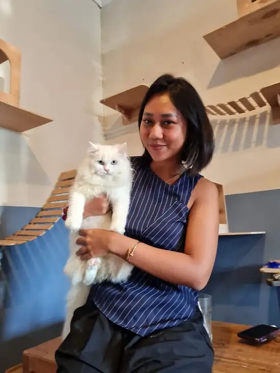 Gambar Makanan Canggu Cat Cafe 4