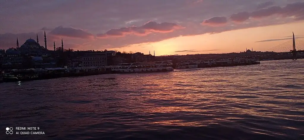 Fish Port'nin yemek ve ambiyans fotoğrafları 40