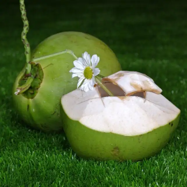 The Royal Coconut