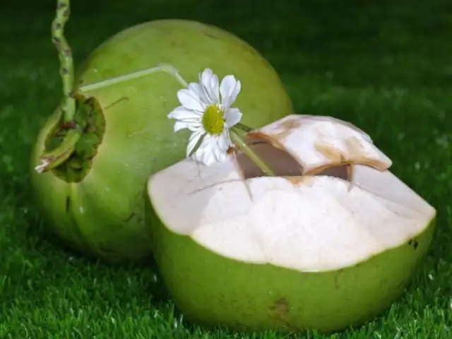 The Royal Coconut
