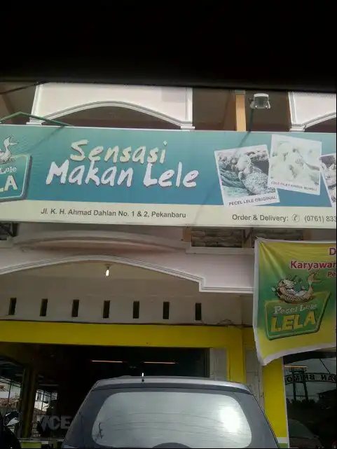 Gambar Makanan Pecel Lele Lela 8