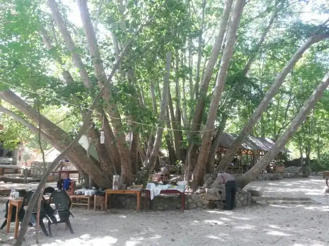 Caglayan Park'nin yemek ve ambiyans fotoğrafları 6