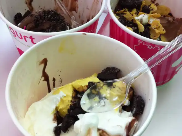 Snogurt Food Photo 11