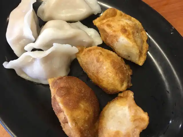 Tasty Dumplings Food Photo 4