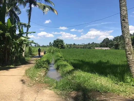 Gambar Makanan Kayuh Bali 8