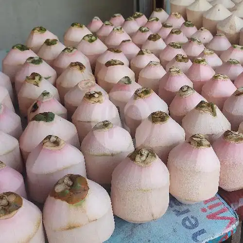 Gambar Makanan Warung Kelapa Muda Pilihan Yasa 20