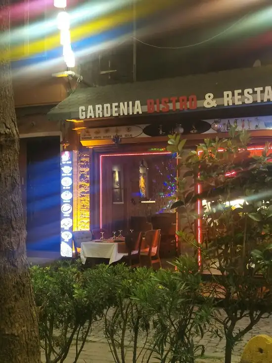 Gardenia Bistro & Restaurant'nin yemek ve ambiyans fotoğrafları 24