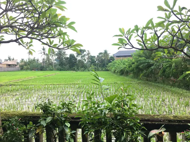 Gambar Makanan Bebek Bengil 17