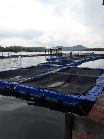 Restoran Terapung Fadzla