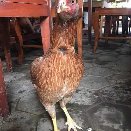 Gambar Makanan RM Kedai Stasiun Ketapang 8