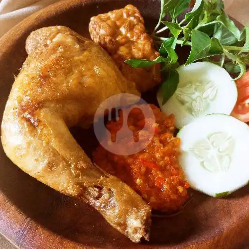 Gambar Makanan Ayam Kerikil, Entrop 16