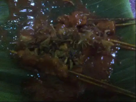 Gambar Makanan Sate Padeh 12