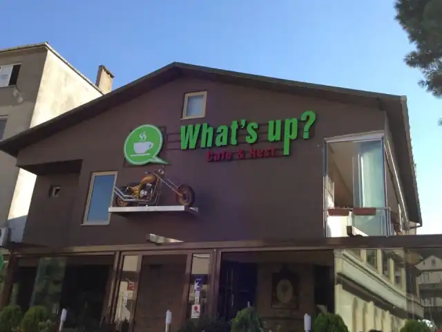 What's Up Cafe & Restaurant'nin yemek ve ambiyans fotoğrafları 3