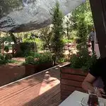 Treff Bistro'nin yemek ve ambiyans fotoğrafları 5