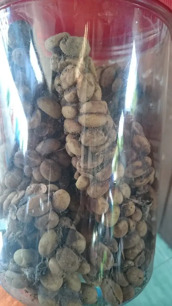 Gambar Makanan Soulthan Coffee Kopi Luwak & 52 Kopi Nusantara 2