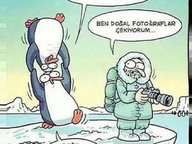 Bedo'nun Yeri'nin yemek ve ambiyans fotoğrafları 5