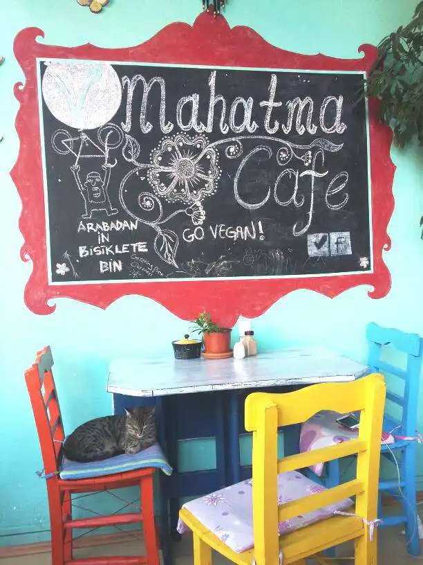 Mahatma Cafe'nin yemek ve ambiyans fotoğrafları 51