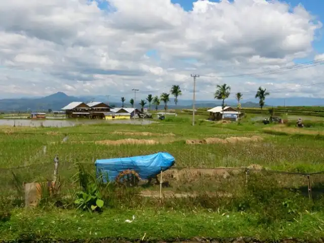 Gambar Makanan RM Pondok Flora 14